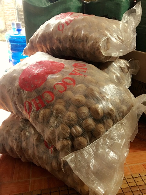 1kg Quả Óc Chó Nếp Tây Bắc
