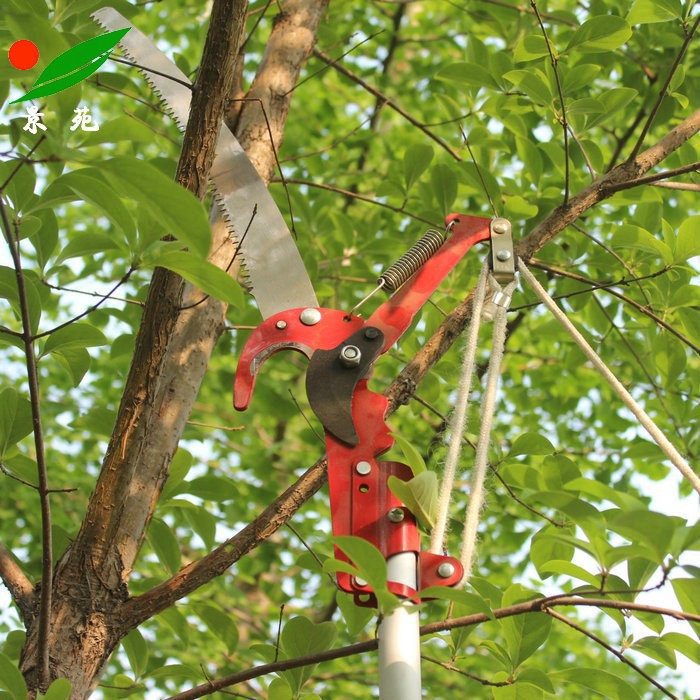 Kéo cắt cành trên cao giật dây