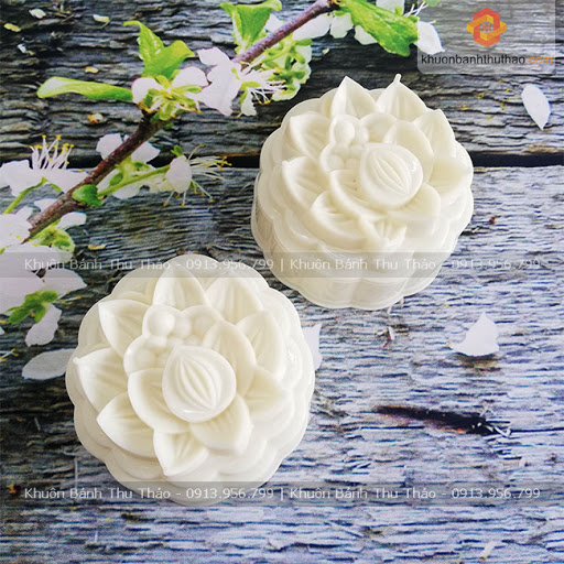 Khuôn đổ rau câu hình bánh trung thu cao cấp