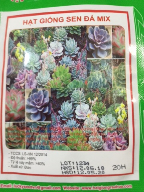 HẠT GIỐNG SEN ĐÁ MIX
