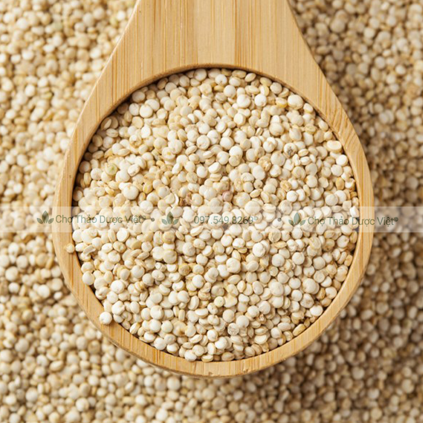 Hạt diêm mạch hữu cơ 500g (Quinoa trắng dành cho người ăn kiêng, làm sữa hạt dinh dưỡng) - Chợ Thảo Dược Việt
