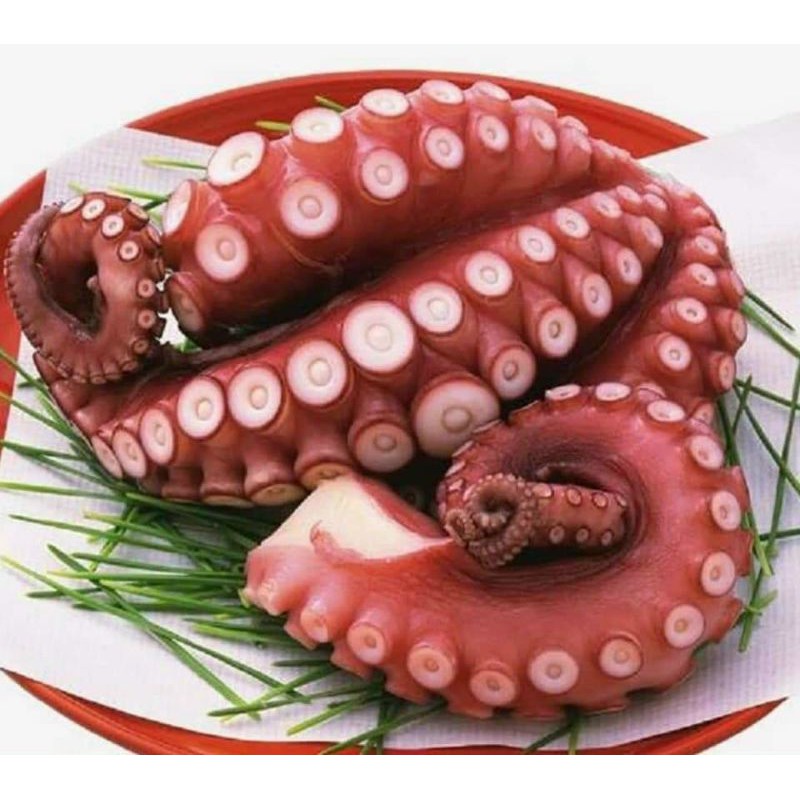 [Chỉ Giao HCM] Râu Bạch Tuộc Khổng Lồ (đủ kg)