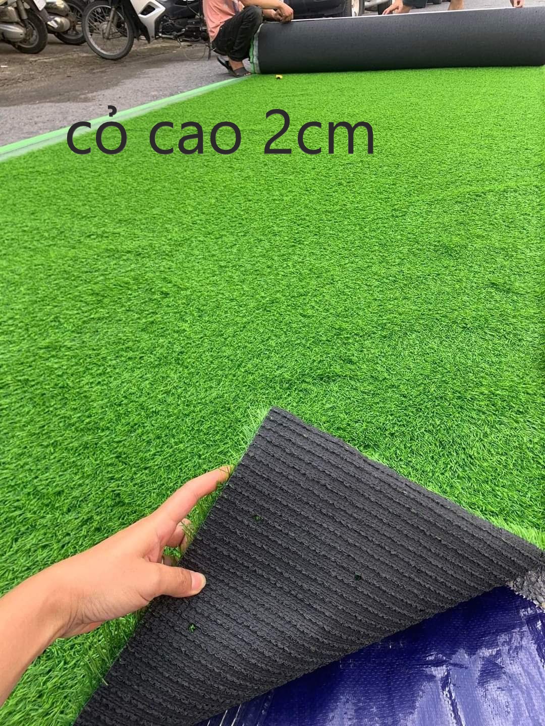 cỏ nhân tạo lót sàn sân vườn đế dày hàng xuất khẩu  cao  3cm  2cm khổ rộng 2m giá bán 1m x1m  Thảm cỏ nhựa  lót bể cá dán tường  trang trí decore