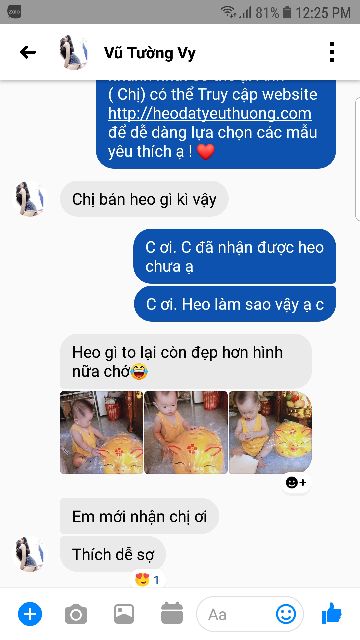 Heo mắt híp tiết kiệm - size Đại
