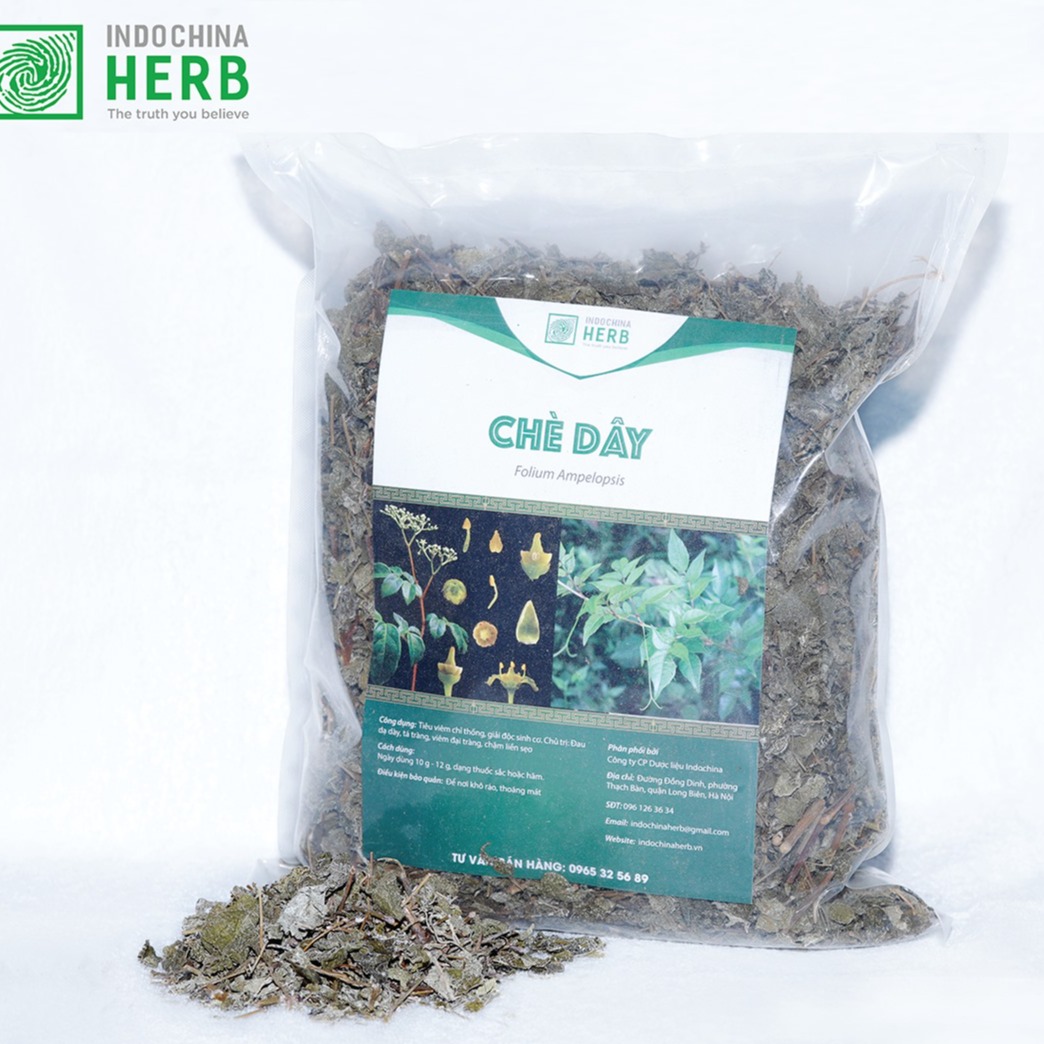 Chè dây - Hỗ trợ điều trị đau dạ dày