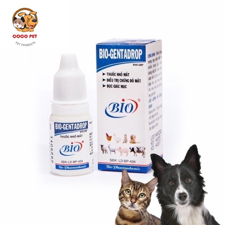 Nước Nhỏ Mắt Bio GentaDrop 10ml Cho Chó Mèo, Tr.ị Chứng Mắt Đỏ, Chảy Nước  Mắt - King's Pet Store 