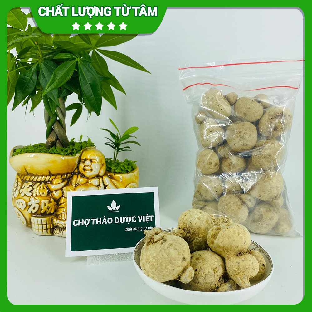 Tam thất nam khô 500g, củ to, hỗ trợ bổ máu, lưu thông khí huyết, ổn định hyết áp, giảm đau xương khớp