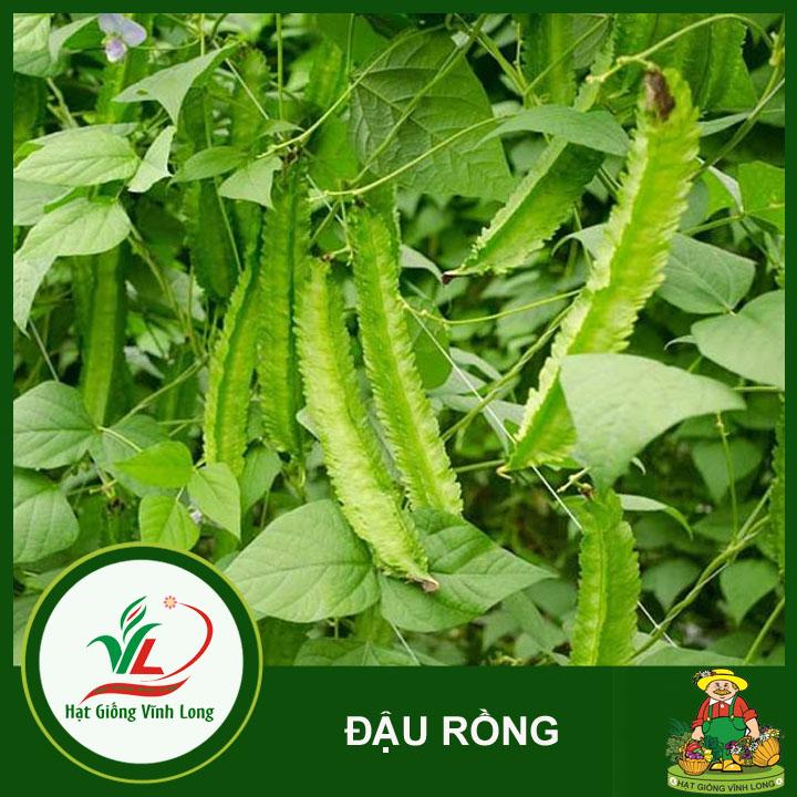 Hạt giống Đậu rồng RD 754 - 10g