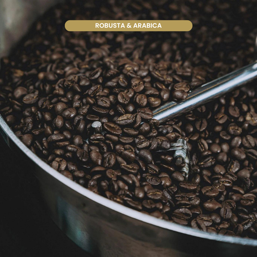 SOUL SPECIALTY COFFEE | Dòng cà phê Arabica Lâm Đồng chất lượng cao | Sơ chế ướt (Washed) có thể PHA PHIN/PHA MÁY | Arabica Premium Coffee