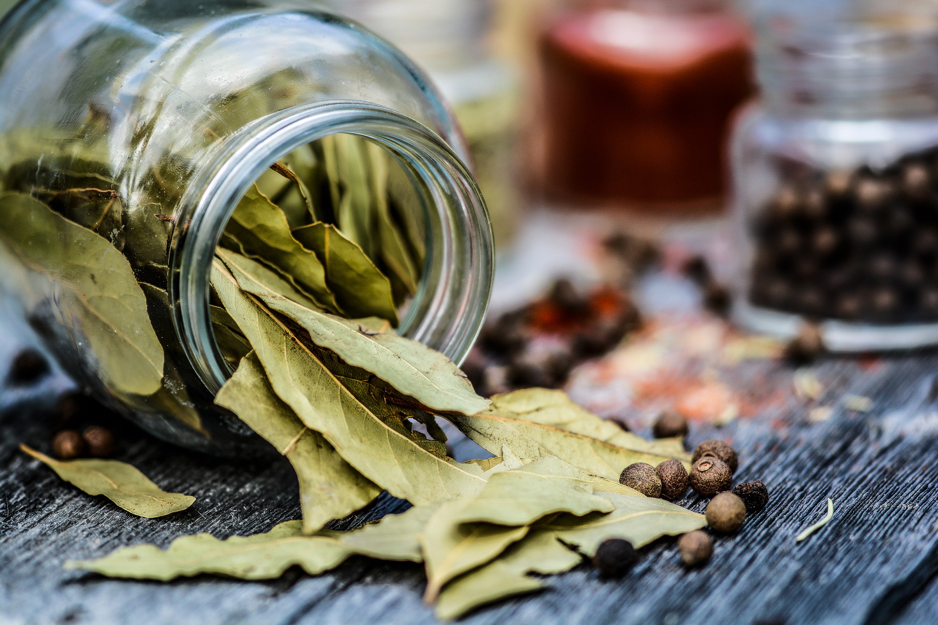 Lá nguyệt quế khô / Bay leaves