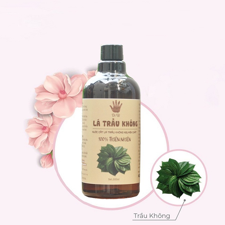 Hydrosol lá trầu không nguyên chất