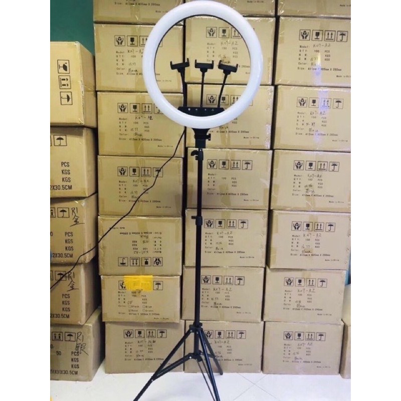 Đèn live stream 54 cm RL-21 size to
