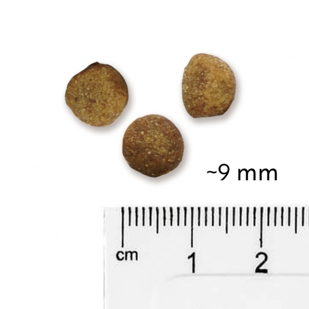 [Mẫu Thử 50g] Hạt Mềm Hữu Cơ Cho Chó ANF SOFT (Hàn Quốc) - Cho Chó Mọi Lứa Tuổi - [Nông Trại Thú Cưng]