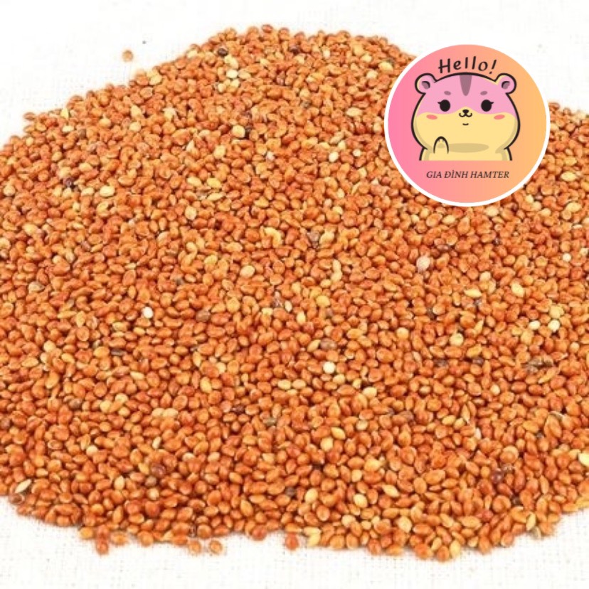 Hạt Kê Lọ 100g Thức ăn cho Hamster - Gia đình hamter