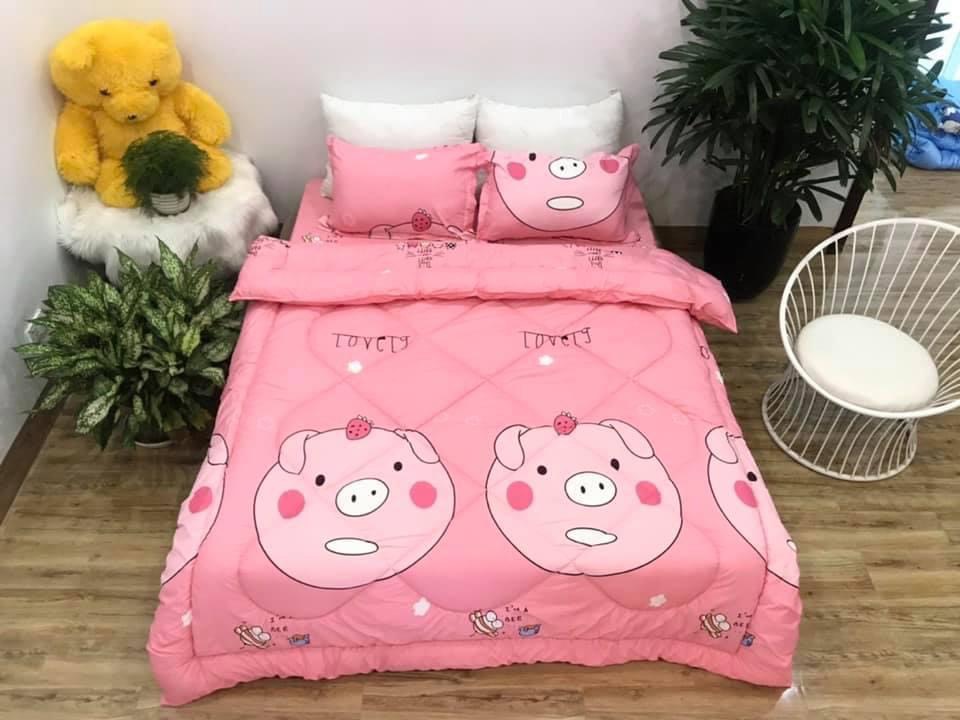 Chăn phao siêu nhẹ cực ấm,đã có ruột bông liền vải cotton poly 1m8x2m họa tiết heo hồng mới kute Bà Béo  Kho chăn ga gối, ga giường, drap giường