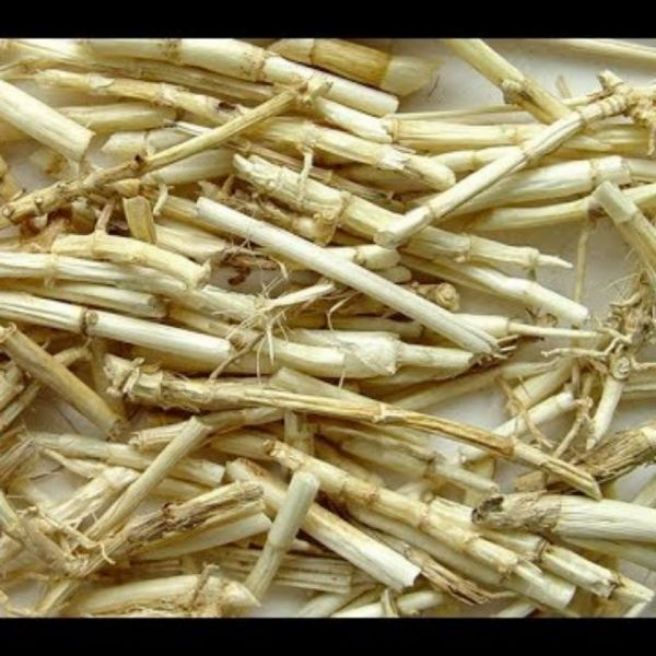 500g rễ tranh ( rễ cỏ tranh)