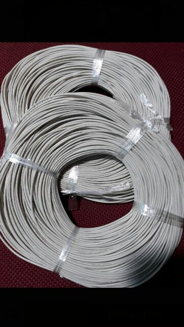 Dây Điện Nhật W22 100M