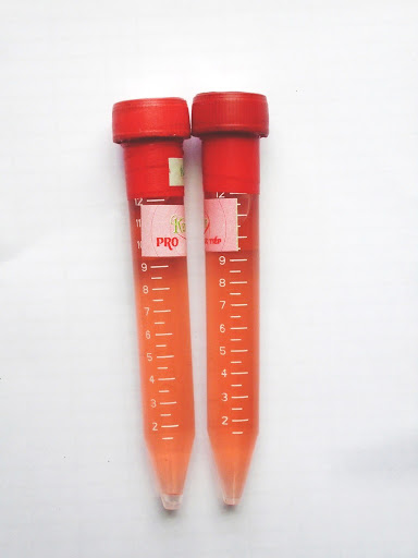 [HCM]Kích Kie Duy Đỏ Pro Cho Phong Lan 10ml