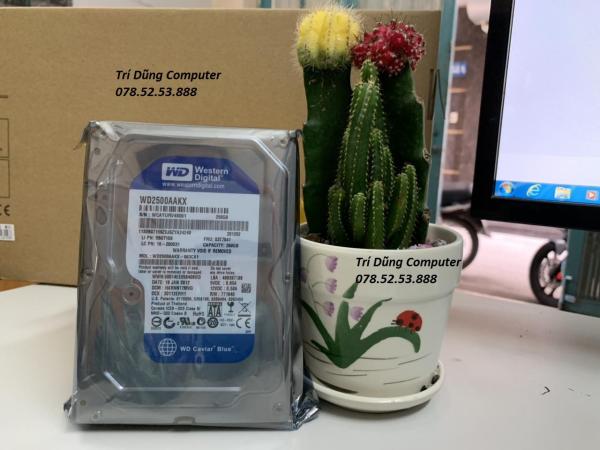 Ổ cứng HDD 250G Western ( Blue ) Máy tính để bàn, Bảo hành 24 tháng lỗi 1 đổi 1
