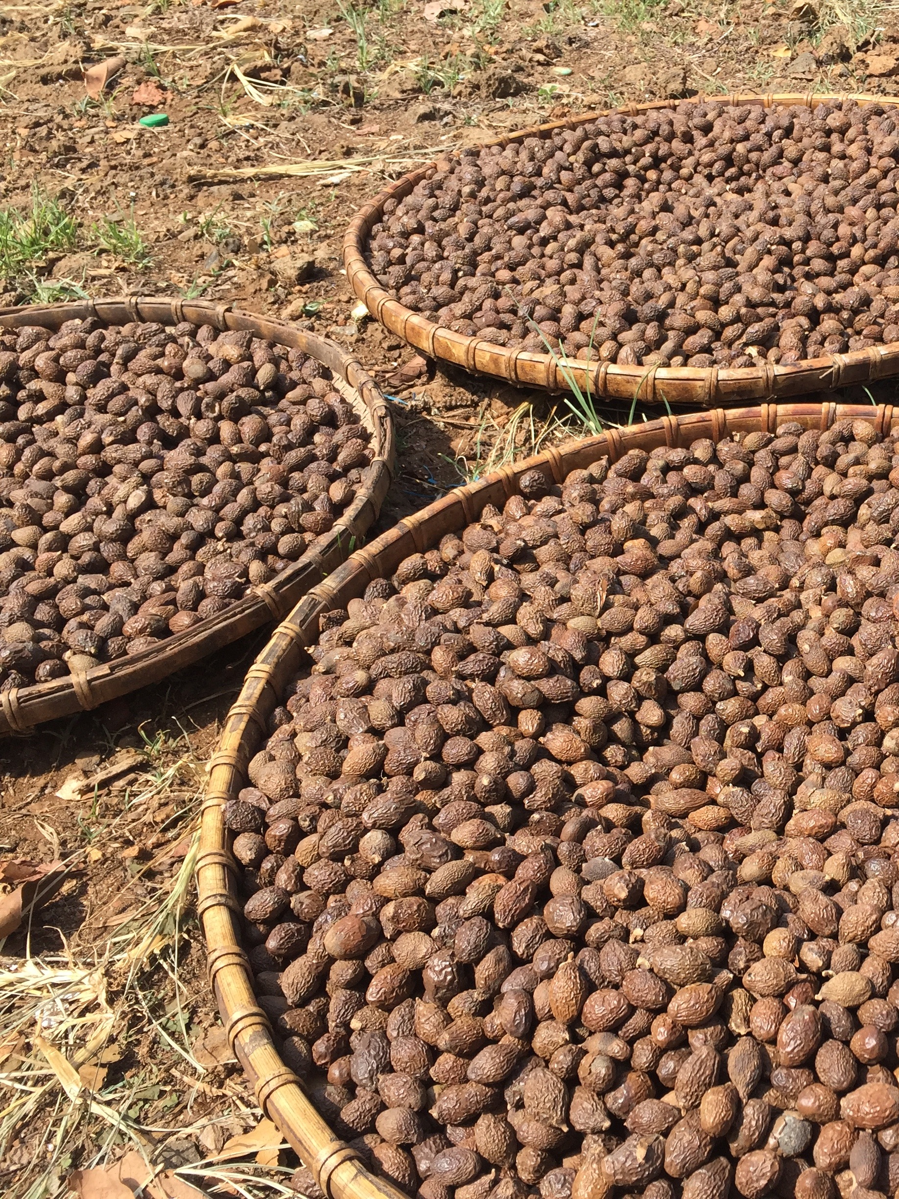 ươi bay loại một (250g)