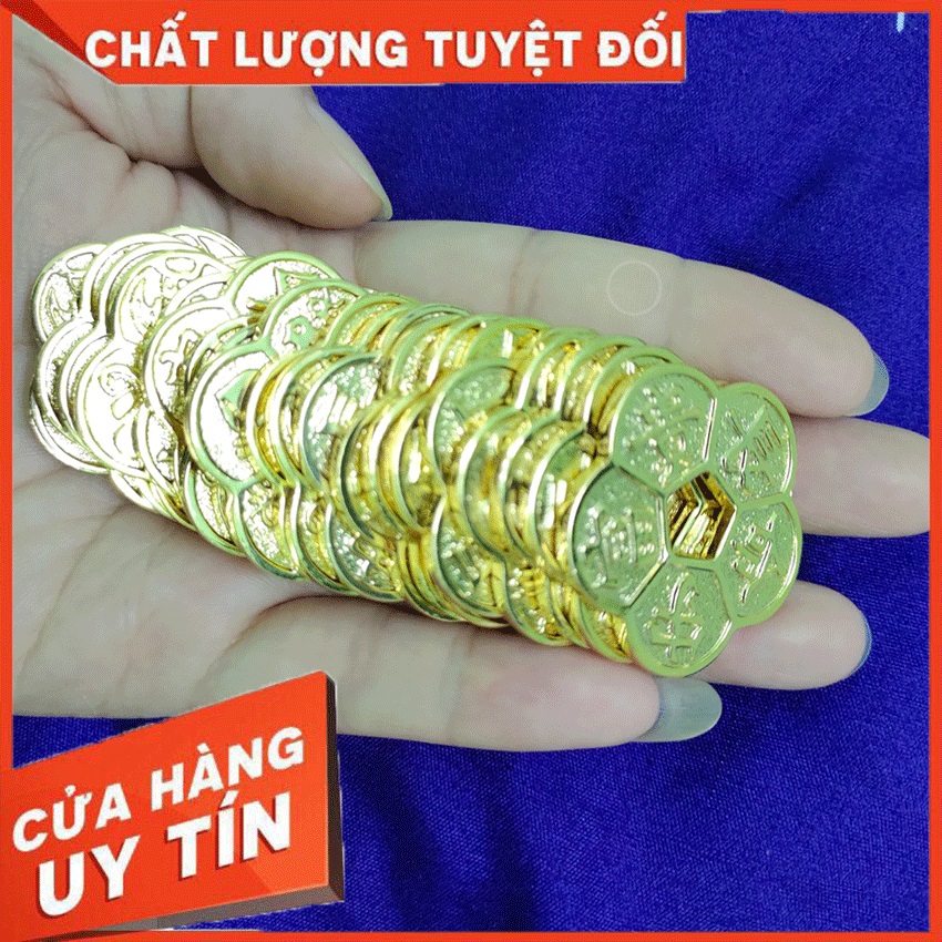 Đồng Xu Hoa Mai Kim Tiền