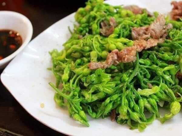Cây giống hoa thiên lý
