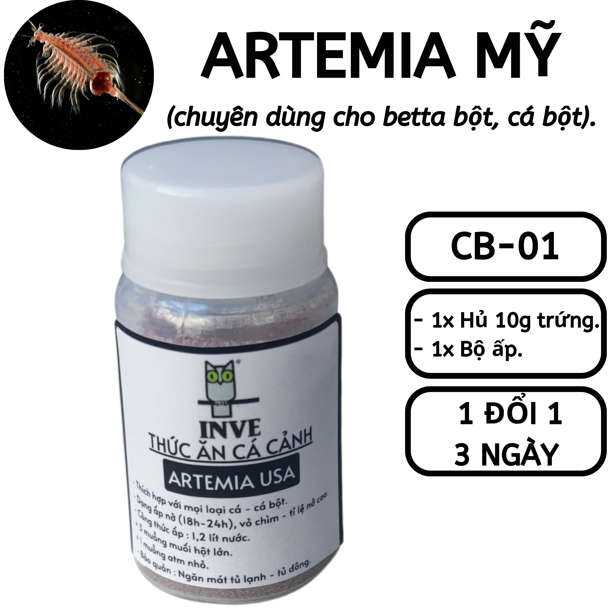 Combo 1: 10g eggs Artemia American + set Ấp-feed Betta fish powder, fish powder hingaostore.
