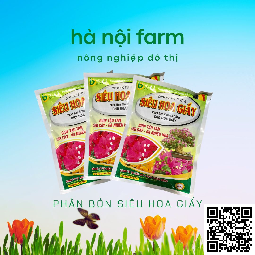 Phân bón hữu cơ siêu hoa giấy, phân bón dành cho hoa giấy -gói 700g