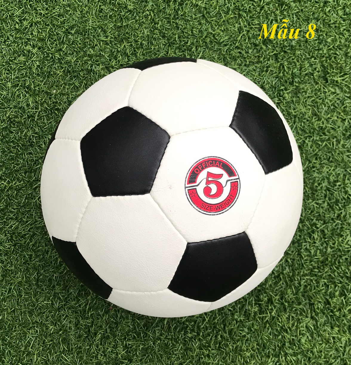 Bóng đá Động Lực số 5 (Hàng xuất khẩu) - Tặng kim bơm bóng