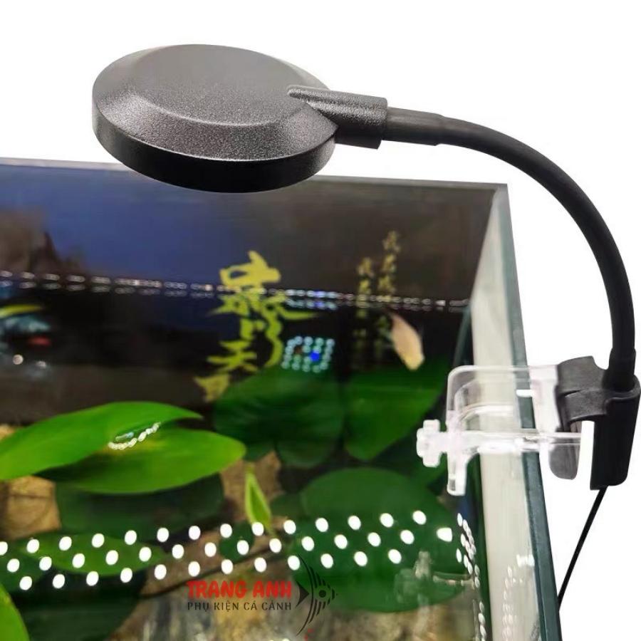 Đèn led bể cá mini Jeneca D-1S, đèn led cho hồ cá cảnh, thủy sinh (3 chế độ màu)