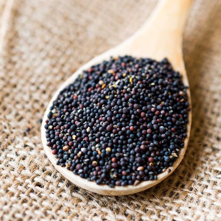 Hạt mù tạc Mustard Seed Ấn Độ - 500gr