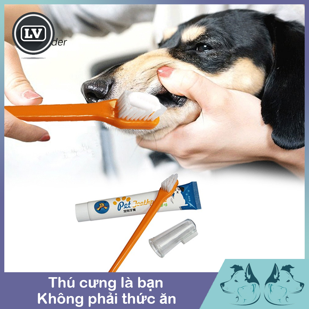 Bàn chải đánh răng cho thú cưng - Phụ kiện Long Vũ