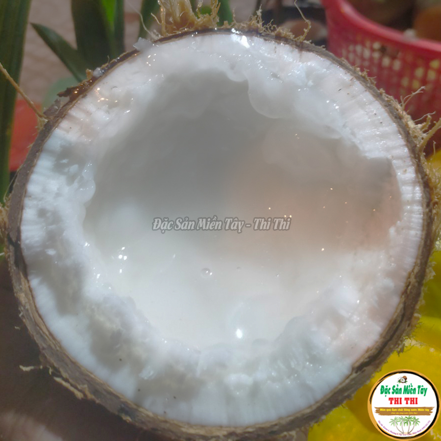 Dừa Sáp Cầu Kè - Đặc Sản Trà Vinh (Nhiều Loại)