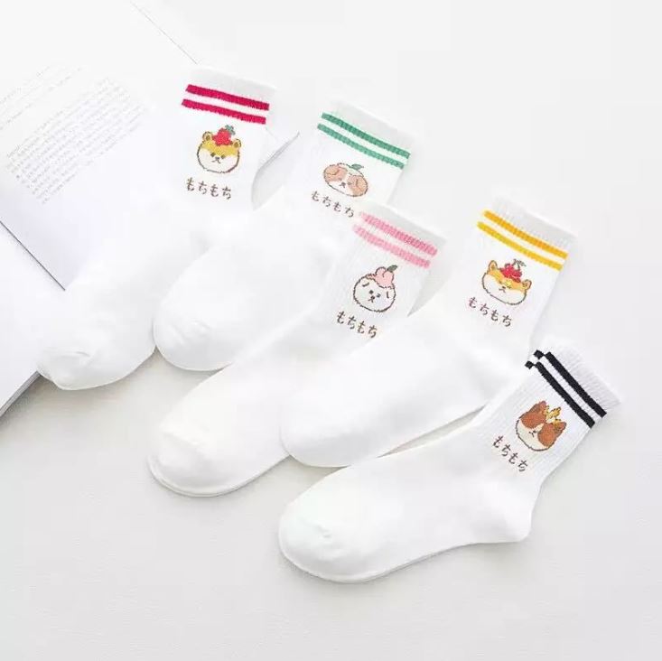 Set 5 Đôi Tất Vớ Nữ Gấu Trắng Cao Cổ