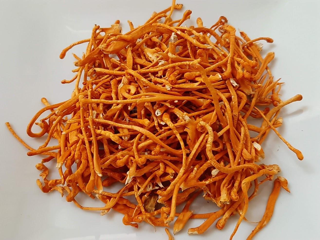 ĐÔNG TRÙNG  HẠ THẢO KHÔ 15 gram