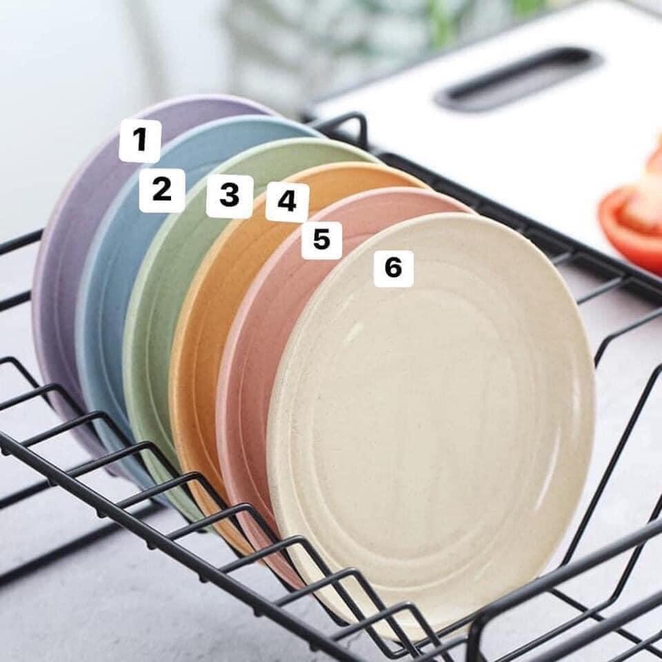 Set đĩa lúa mạch màu siêu xinh