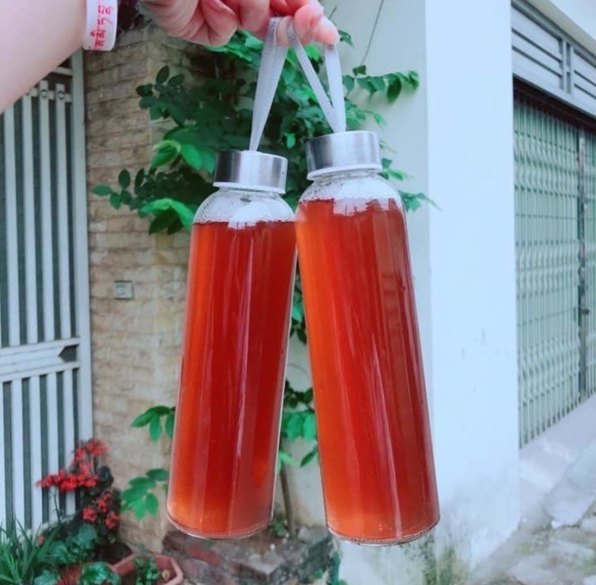Bình nước thủy tinh có dây xách 300ml