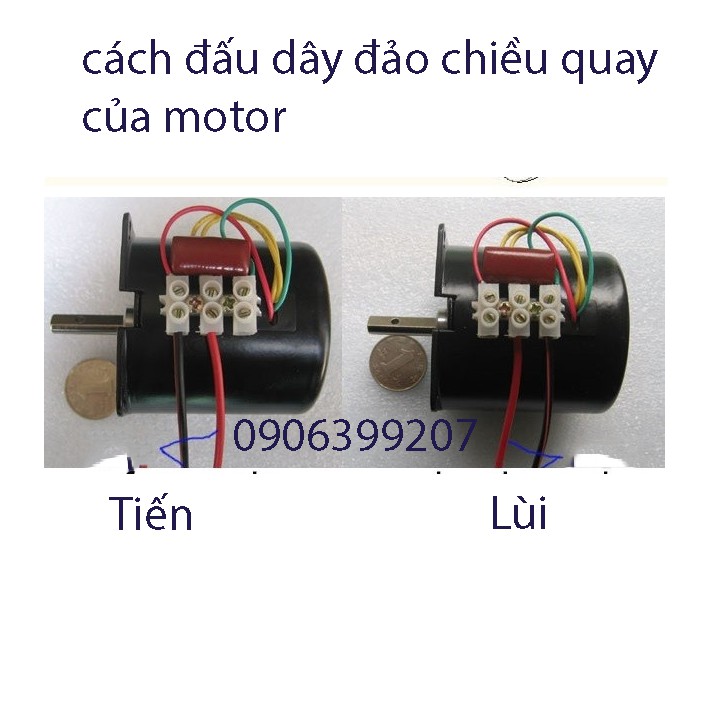 motor giảm tốc 220v - motor giảm tốc 5 rpm