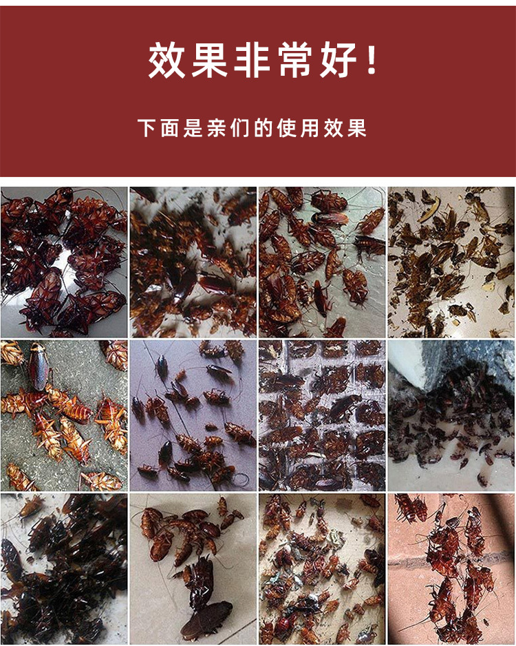 Thuốc diệt gián bọ rết dạng gói dễ sử dụng