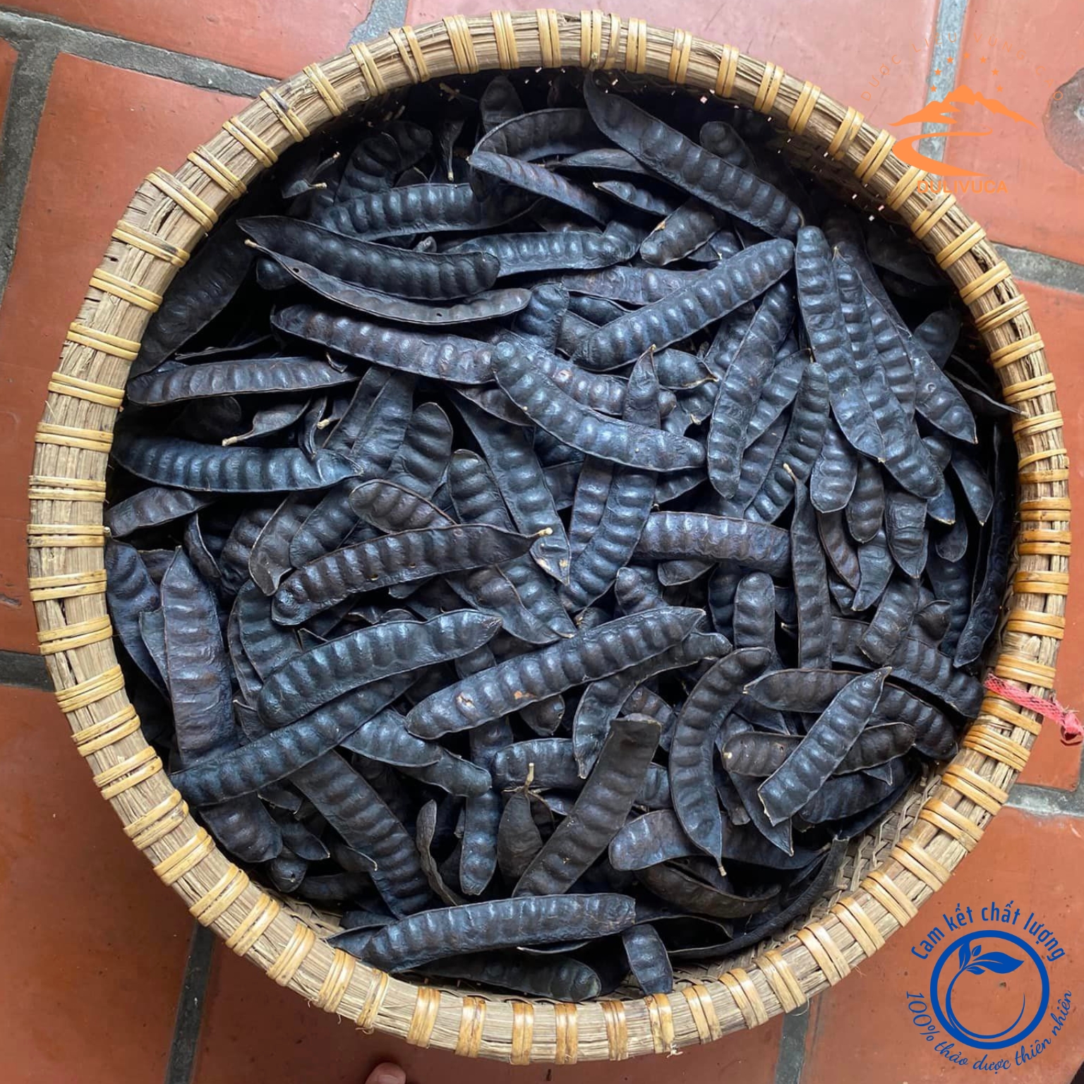Quả bồ kết, trái bồ kết rừng phơi khô gội đầu, xông nhà loại 1 1kg. Bồ kết thảo dược vùng núi cao Tây Bắc