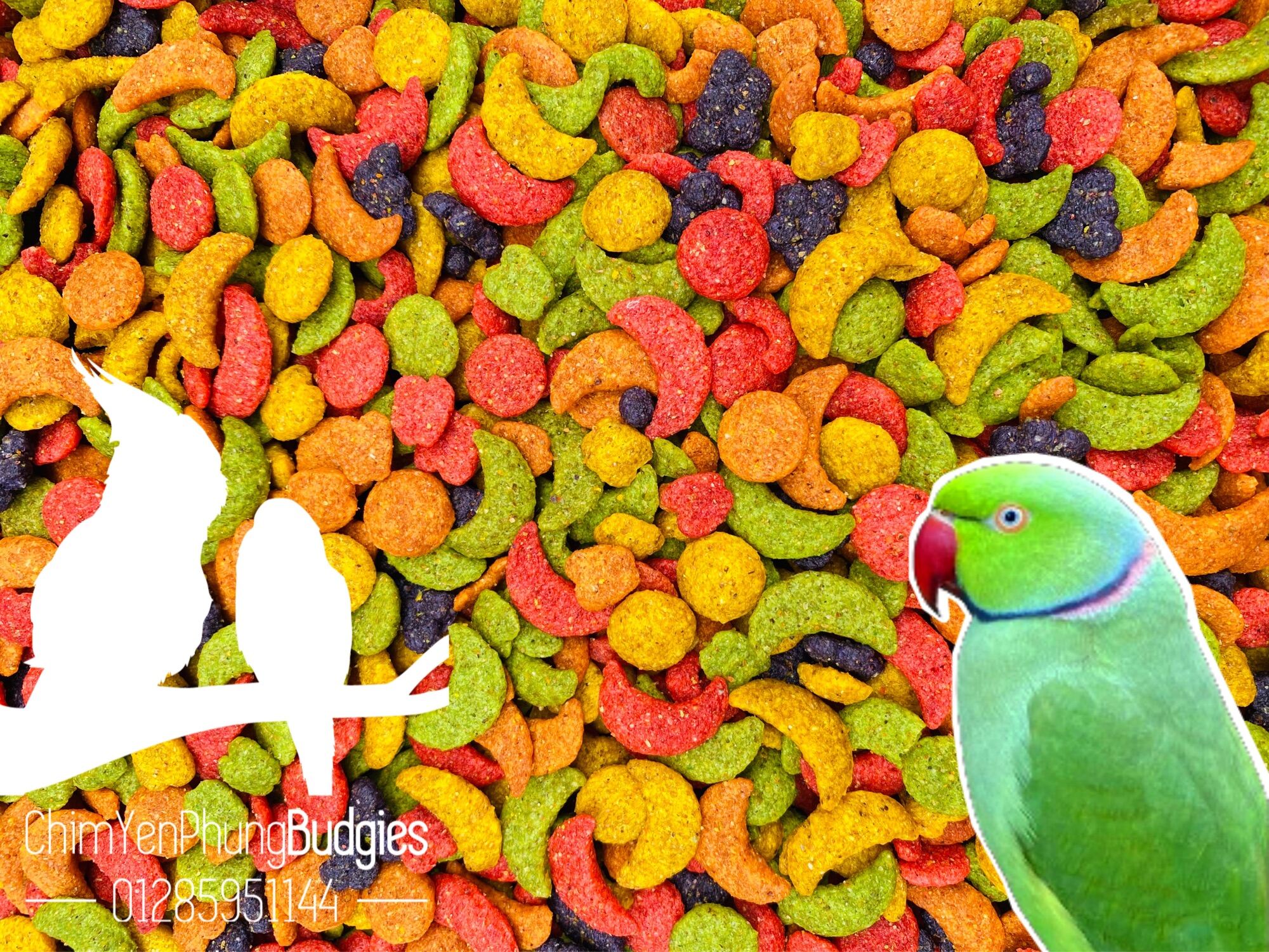 500g zupreem hạt lớn cho vẹt xích • xám • sunconure.