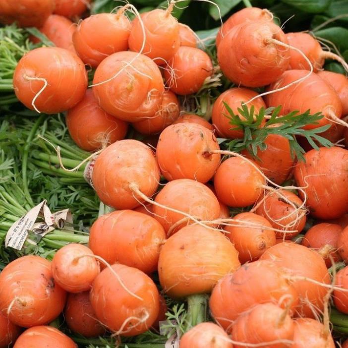 Hạt giống củ cà rốt tròn đỏ-gói 100 hạt(tặng kèm phân bón)