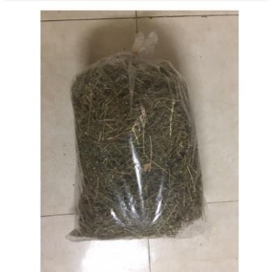 CÂY NỔ KHÔ 1KG - SÂM TANH TÁCH KHÔ