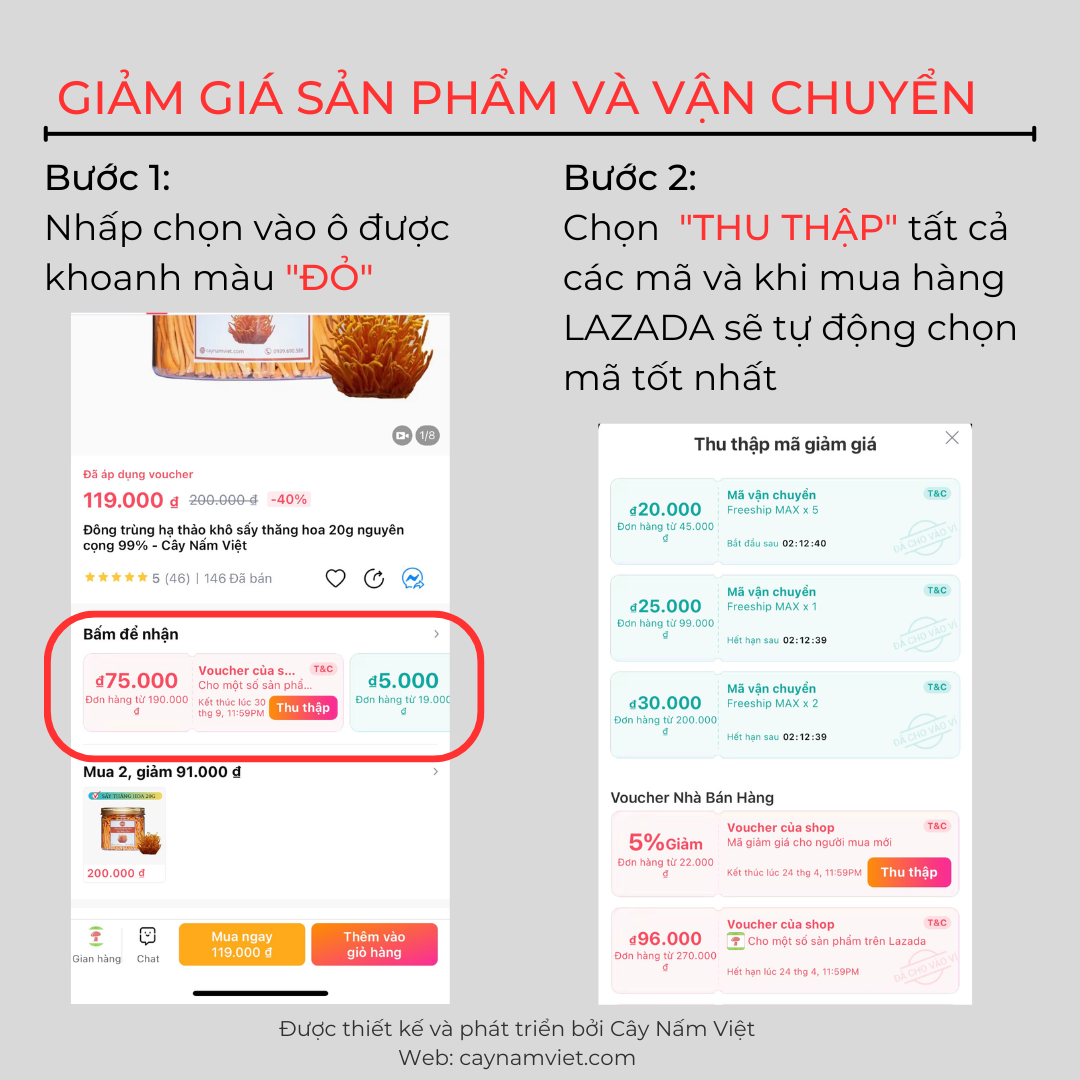 Nấm linh chi đỏ cao cấp CNV 250g (Xích chi Việt Nam)