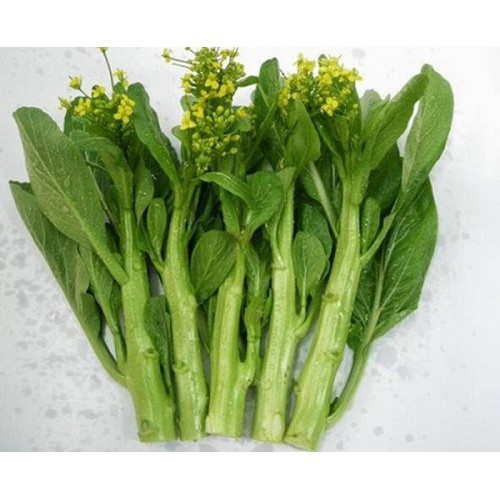 Hạt giống Cải Ngồng Mập 20gr