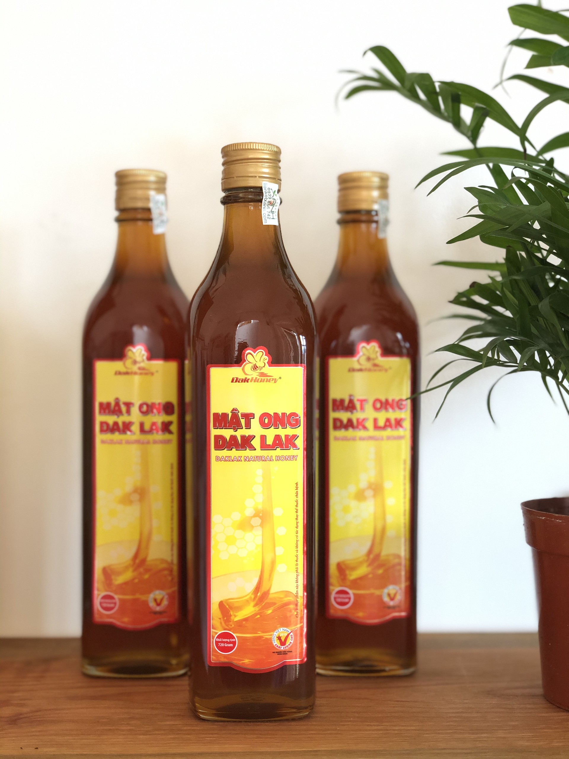 MẬT ONG DAKLAK - LIÊN KẾT XANH