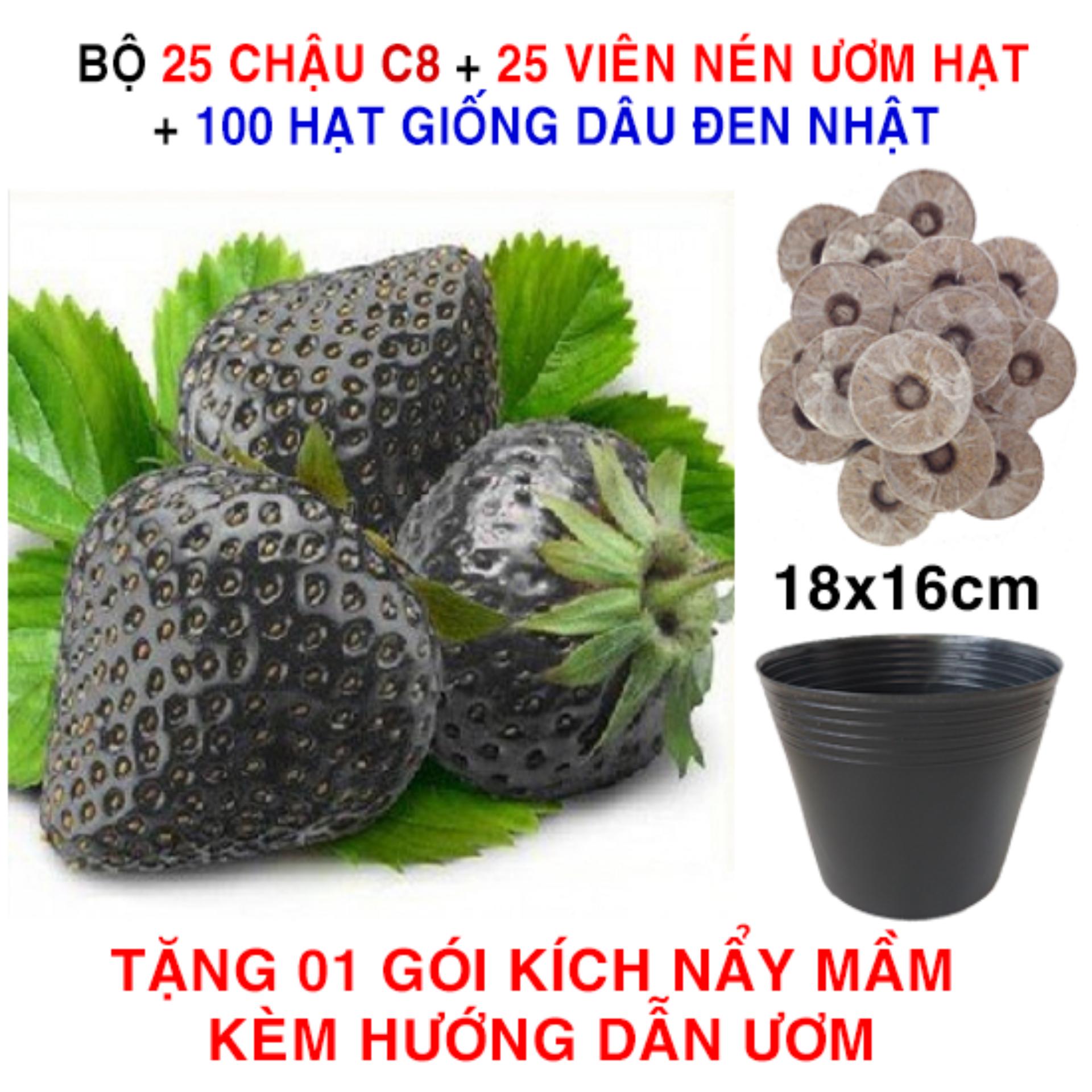 100 Hạt giống Dâu tây Đen Nhật + 25 Chậu C8 + 25 Viên nén ươm hạt (tặng Kích mầm)