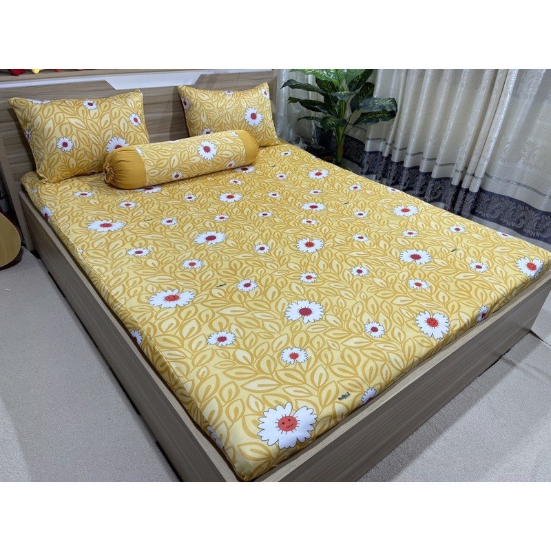 Bộ drap ga thun Hàn Quốc 2M2*2M(nệm 5-15cm) không mền
