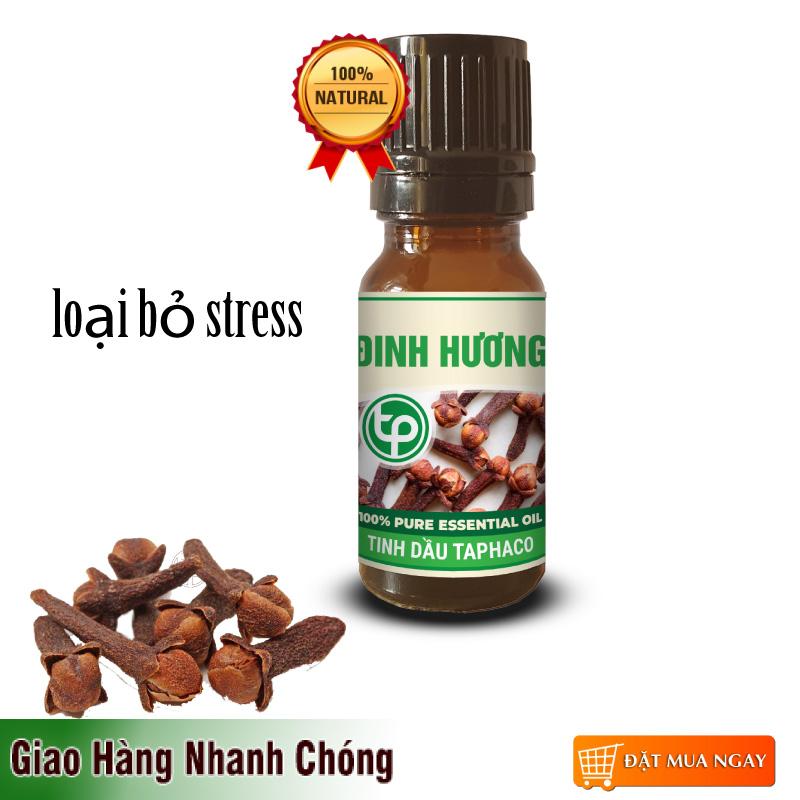 [Hot] Clove Essential Oil 10ml - Tan Phat Herbal Medicine