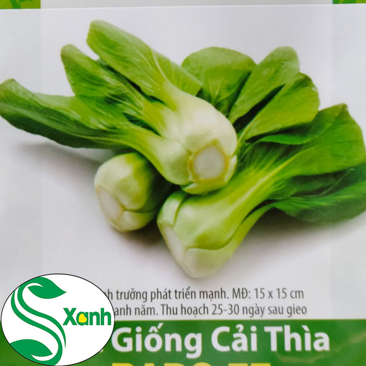 Hạt Giống Cải Thìa RADO 77